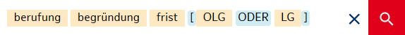 Eingabe des logischen Operators ODER in die Suchzeile